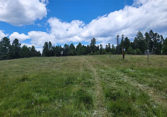 Photo 3 of Land for sale at Lot 83 Hoover Crk Rd, Helmville, MT 59843 | MLS# 30070428 | Listing updated on 2026-07-21