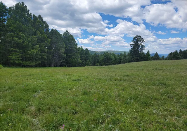 Photo 4 of Land for sale at Lot 83 Hoover Crk Rd, Helmville, MT 59843 | MLS# 30070428 | Listing updated on 2026-07-21