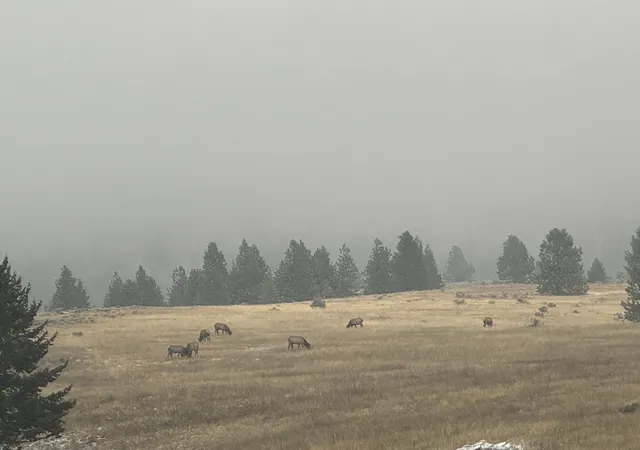 69th image of 9420 Mormon Creek Rd, Lolo, MT 59847 | MLS# 30070103