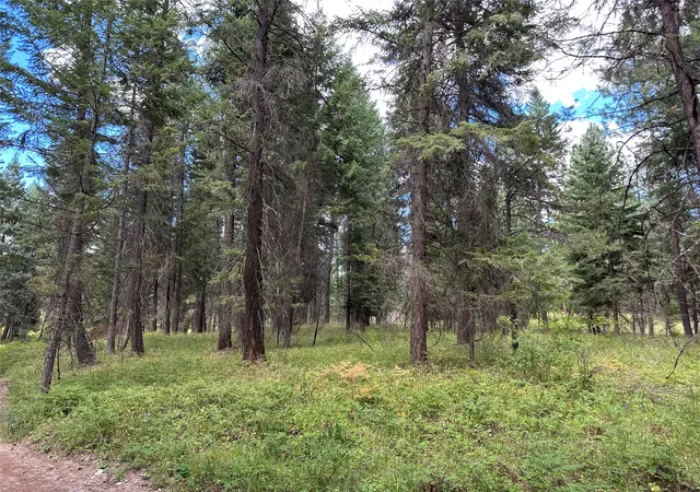 Homes for sale in Thompson Falls, MT | Nhn Farlan Lane, Thompson Falls, MT 59873 | MLS# 30070504