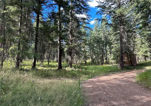 Homes for sale in Thompson Falls, MT | Nhn Farlan Lane, Thompson Falls, MT 59873 | MLS# 30070504