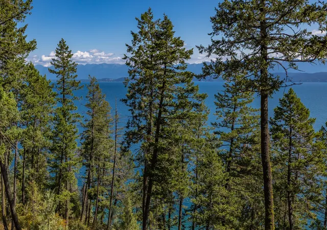 3rd image of 705 Angel Point Rd, Lakeside, MT 59922 | MLS# 30070307