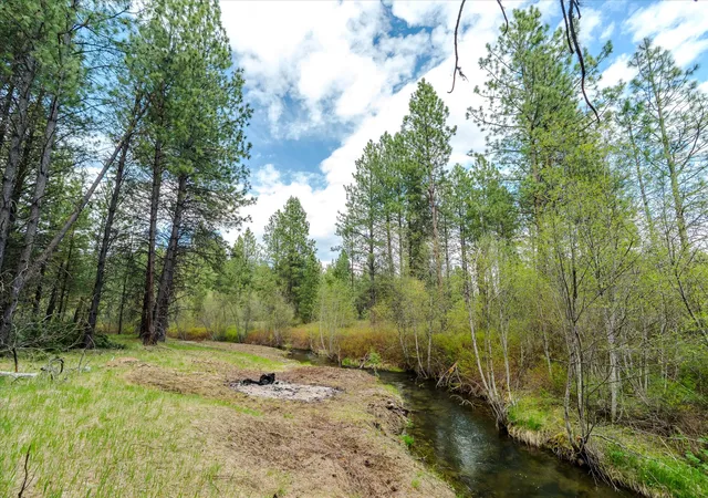 Homes for sale in Yaak, MT | Tbd Hines Road, Yaak, MT 59935 | MLS# 30070511