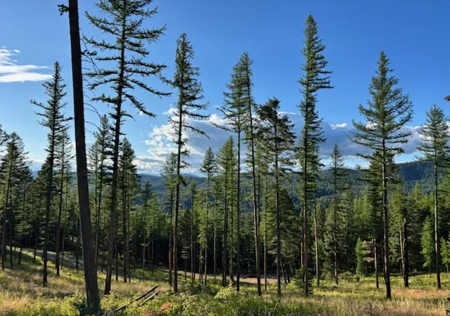 2nd image of 11509 Timber Ridge Lane, Missoula, MT 59808 | MLS# 30070657