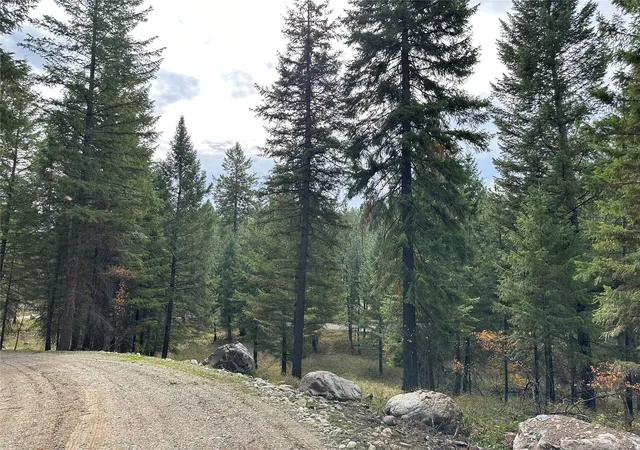 Homes for sale in Thompson Falls, MT | Nhn Harlow Rd, Thompson Falls, MT 59873 | MLS# 30070593