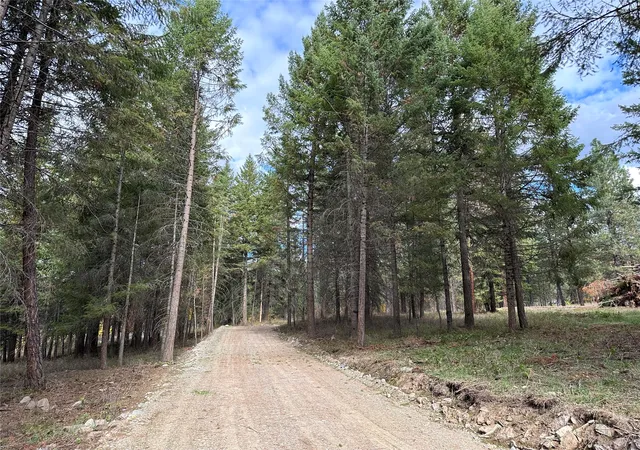 Homes for sale in Thompson Falls, MT | Nhn Harlow Rd, Thompson Falls, MT 59873 | MLS# 30070593
