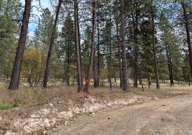 Homes for sale in Thompson Falls, MT | Nhn Harlow Rd, Thompson Falls, MT 59873 | MLS# 30070593