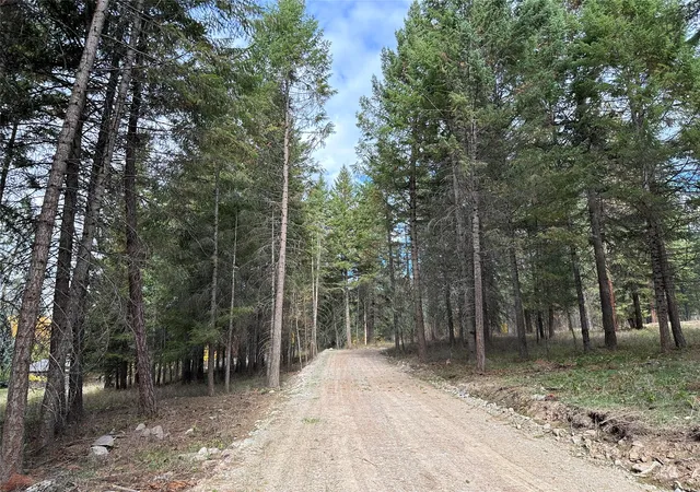Homes for sale in Thompson Falls, MT | Nhn Harlow Rd, Thompson Falls, MT 59873 | MLS# 30070593
