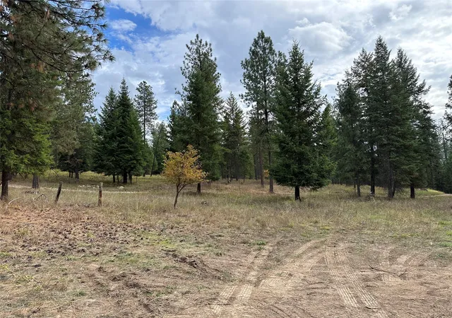 Homes for sale in Thompson Falls, MT | Nhn Harlow Rd, Thompson Falls, MT 59873 | MLS# 30070593