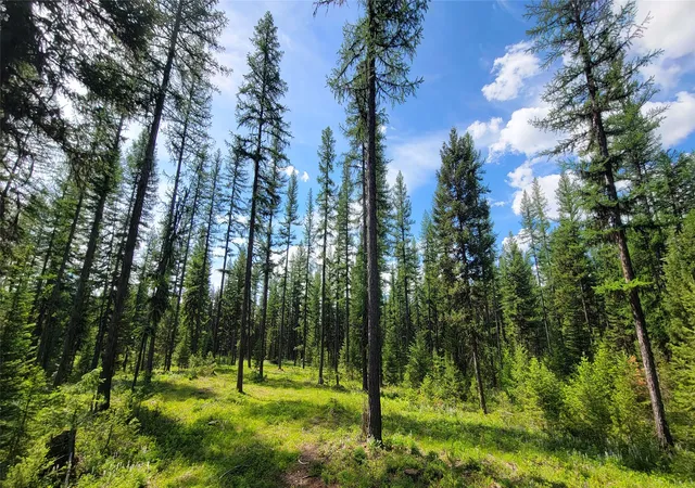3rd image of 34477 Shay Lake Rd, Bigfork, MT 59911 | MLS# 30067787