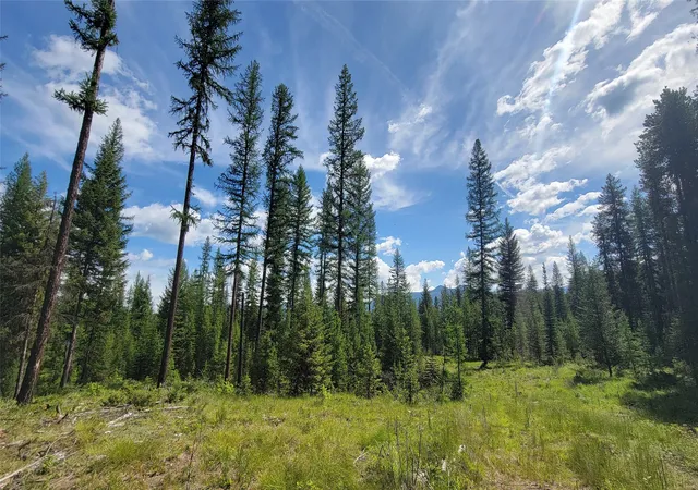 4th image of 34477 Shay Lake Rd, Bigfork, MT 59911 | MLS# 30067787