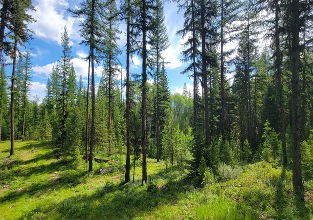 5th image of 34477 Shay Lake Rd, Bigfork, MT 59911 | MLS# 30067787