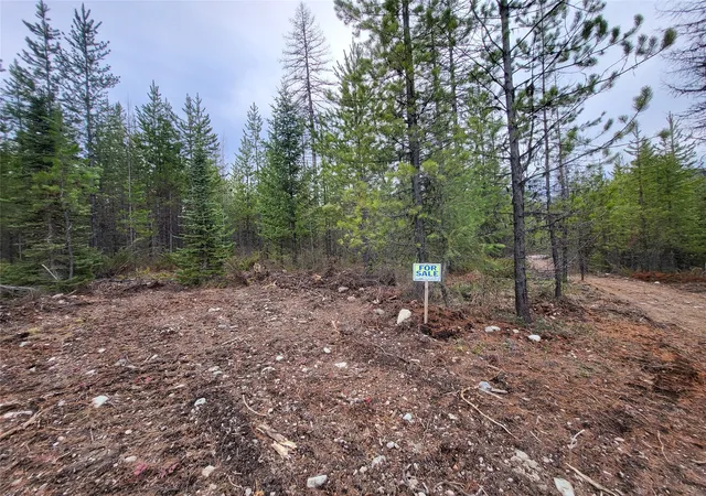 Homes for sale in Bigfork, MT | 34477 Shay Lake Rd, Bigfork, MT 59911 | MLS# 30067787