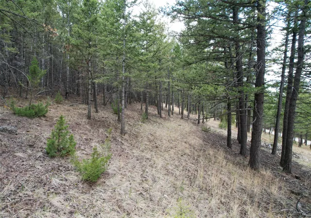 Homes for sale in Clancy, MT | 291 S Hills Rd, Clancy, MT 59634 | MLS# 30070508