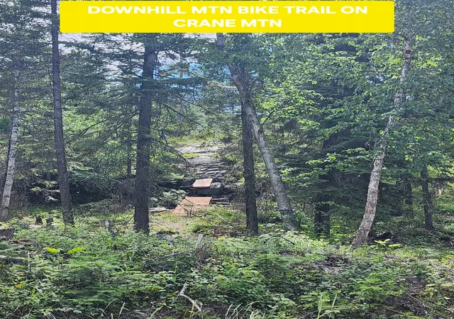 Homes for sale in Bigfork, MT | 13376 Bug Creek Rd, Bigfork, MT 59911 | MLS# 30070779
