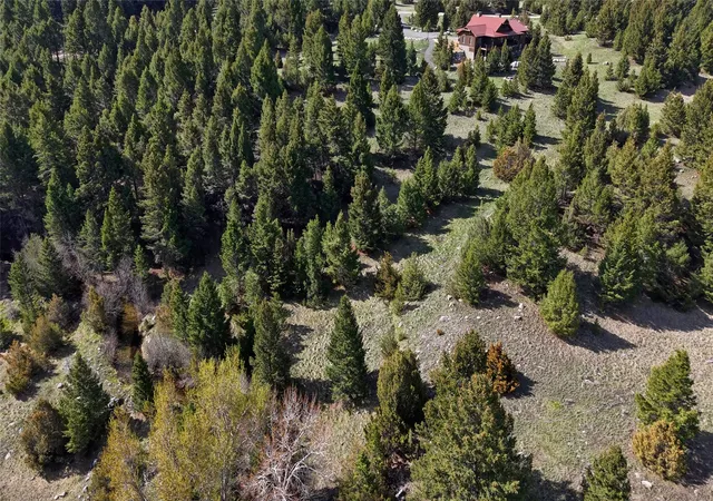 Homes for sale in Deer Lodge, MT | Nhn Lot 28 Phase 3 Dolus Lakes Rd #28, Deer Lodge, MT 59722 | MLS# 30069458