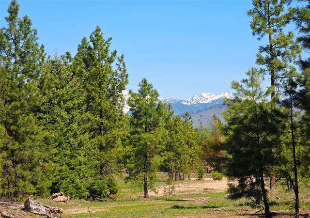 Photo 4 of Land for sale at 440 Trout Crk Rd, Trout Creek, MT 59874 | MLS# 30070881 | Listing updated on 2026-07-24
