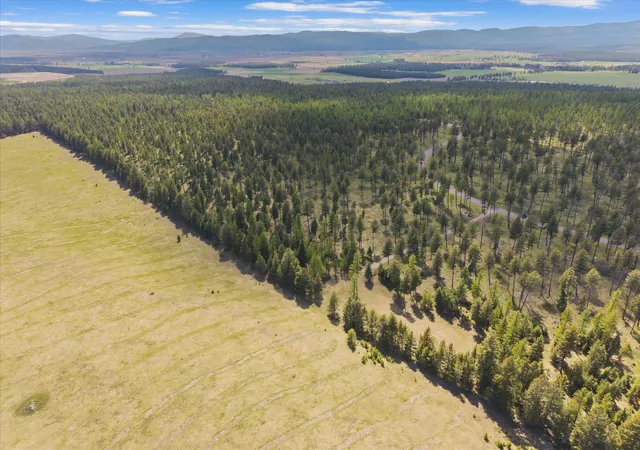 Photo 3 of Land for sale at 245 Layton Rd, Whitefish, MT 59937 | MLS# 30070811 | Listing updated on 2026-07-01