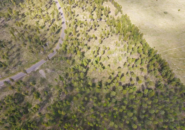 Photo 4 of Land for sale at 245 Layton Rd, Whitefish, MT 59937 | MLS# 30070811 | Listing updated on 2026-07-01