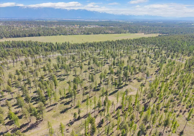 2nd image of 272 Layton Rd, Whitefish, MT 59937 | MLS# 30070394