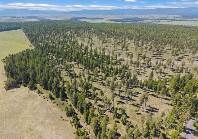 2nd image of 327 Layton Rd, Whitefish, MT 59937 | MLS# 30070815