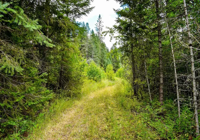 3rd image of Nhn St Mary'S Lake, Saint Ignatius, MT 59865 | MLS# 30070957