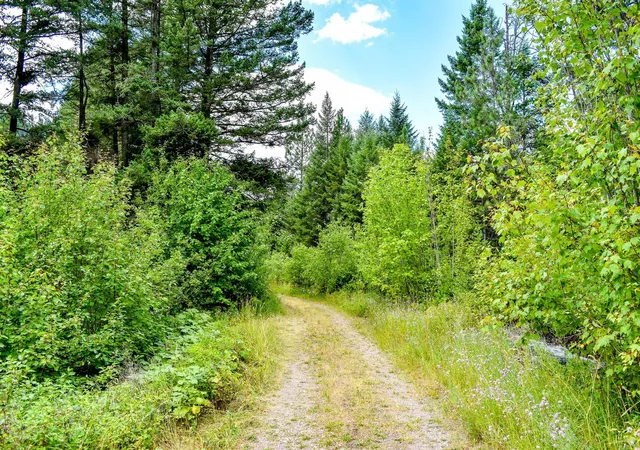 5th image of Nhn St Mary'S Lake, Saint Ignatius, MT 59865 | MLS# 30070957