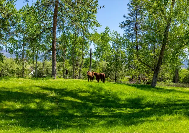 Homes for sale in Plains, MT | 1003 4Th Ave, Plains, MT 59859 | MLS# 30070336