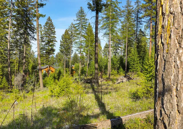 4th image of 109 Bay Ct, Lakeside, MT 59922 | MLS# 30070139