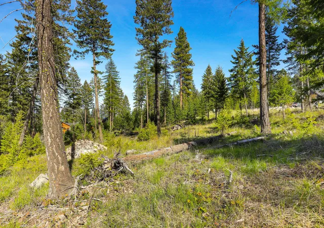 5th image of 109 Bay Ct, Lakeside, MT 59922 | MLS# 30070139