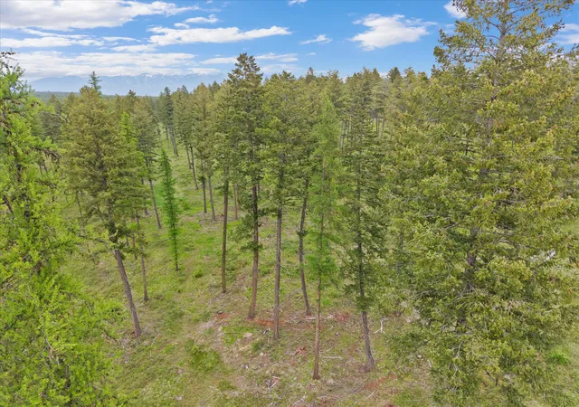 14th image of 296 Layton Rd, Whitefish, MT 59937 | MLS# 30070813