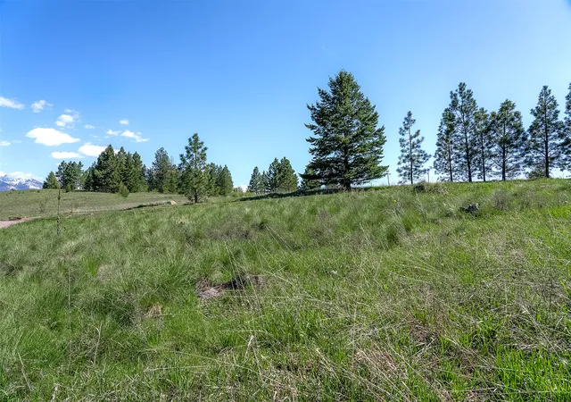 12th image of Nhn Lot 11 Long Lake Dr, Polson, MT 59860 | MLS# 30071034
