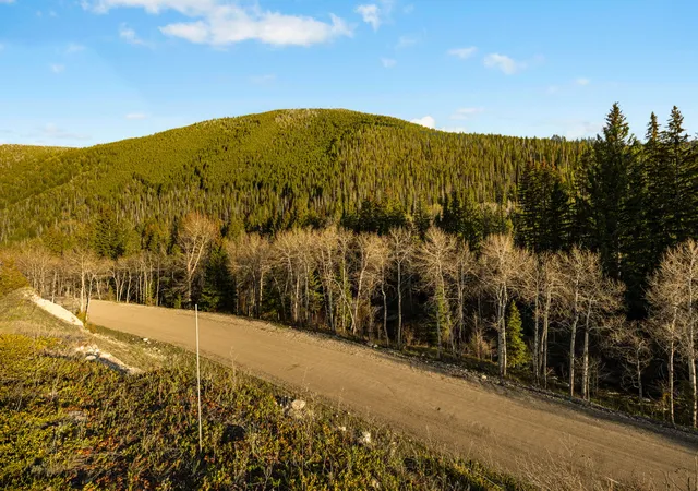 Homes for sale in Anaconda, MT | Nhn Lime Spur Rd, Anaconda, MT 59711 | MLS# 30070859