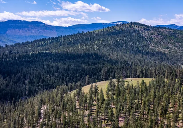 Homes for sale in Marion, MT | 3605 + 40ac Hubbart Dam Rd, Marion, MT 59925 | MLS# 30071052