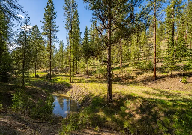 Homes for sale in Marion, MT | 3605 + 40Ac Hubbart Dam Rd, Marion, MT 59925 | MLS# 30071052