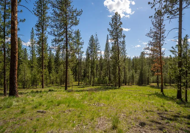 Homes for sale in Marion, MT | 3605 + 40ac Hubbart Dam Rd, Marion, MT 59925 | MLS# 30071052