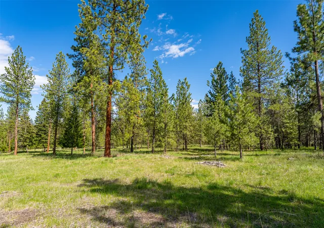 Homes for sale in Marion, MT | 3145 Hubbart Dam Rd, Marion, MT 59925 | MLS# 30070609