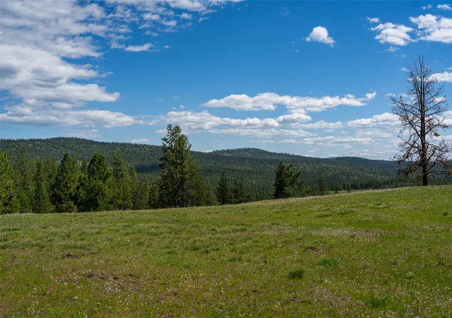 Homes for sale in Marion, MT | 3145 Hubbart Dam Rd, Marion, MT 59925 | MLS# 30070609