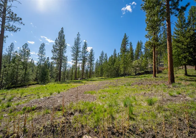 Homes for sale in Marion, MT | 3605 Hubbart Dam Rd, Marion, MT 59925 | MLS# 30070608