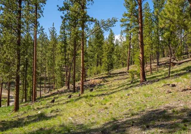 Homes for sale in Marion, MT | 3605 Hubbart Dam Rd, Marion, MT 59925 | MLS# 30070608