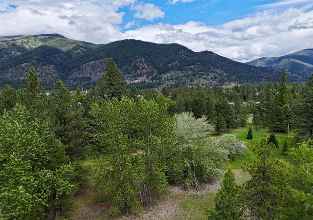 Homes for sale in Trout Creek, MT | 7 Old Cottonwood Ln, Trout Creek, MT 59874 | MLS# 30070875