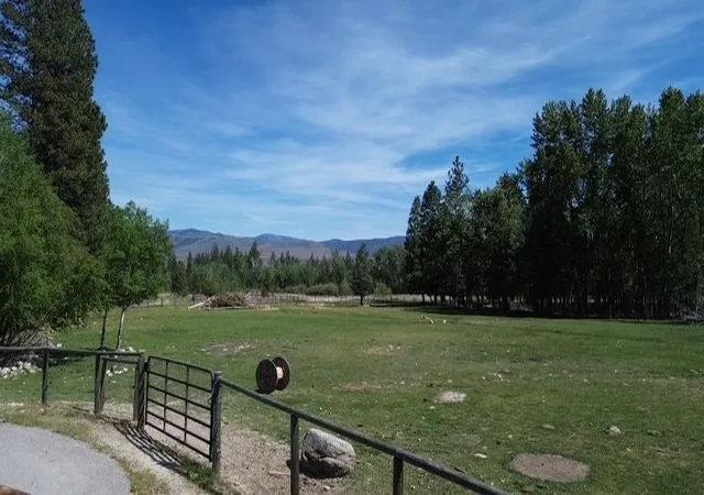 1st image of 990 Timber Point Ln, Hamilton, MT 59840 | MLS# 30071069