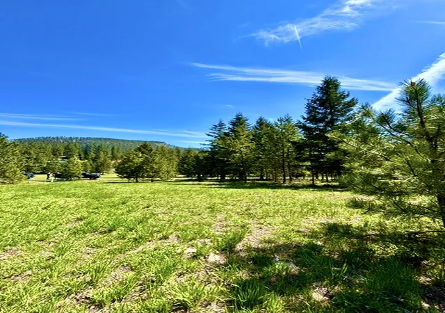 Homes for sale in St Regis, MT | Lot 7 Fairview Dr, St Regis, MT 59866 | MLS# 30070769