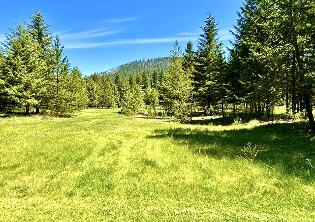 Homes for sale in St Regis, MT | Lot 7 Fairview Dr, St Regis, MT 59866 | MLS# 30070769