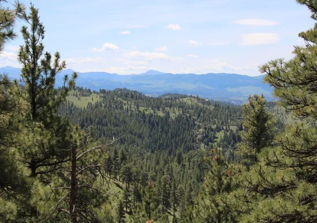 1st image of 6 Pine Coulee Ln, Cascade, MT 59421 | MLS# 30071044