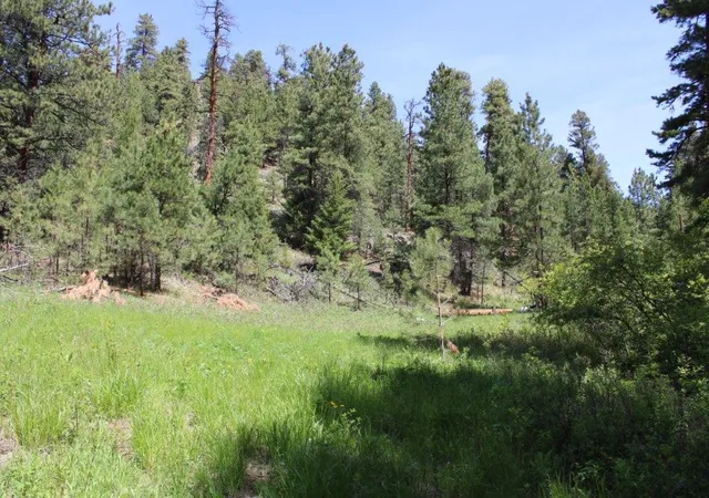 2nd image of 6 Pine Coulee Ln, Cascade, MT 59421 | MLS# 30071044