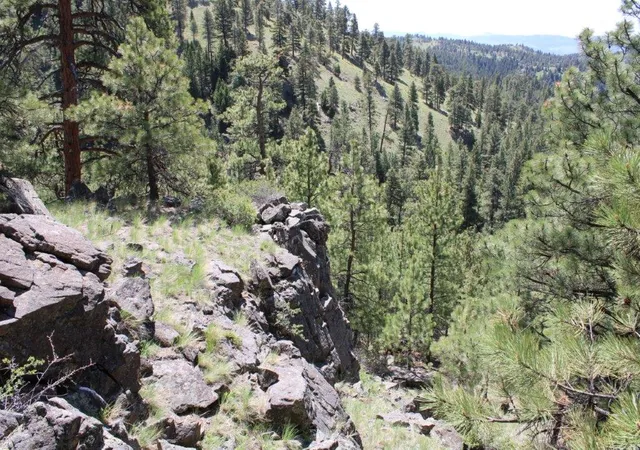 4th image of 6 Pine Coulee Ln, Cascade, MT 59421 | MLS# 30071044