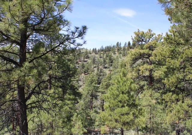 5th image of 6 Pine Coulee Ln, Cascade, MT 59421 | MLS# 30071044