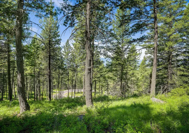 2nd image of 345 Chief Cliff Trl, Bigfork, MT 59911 | MLS# 30069969