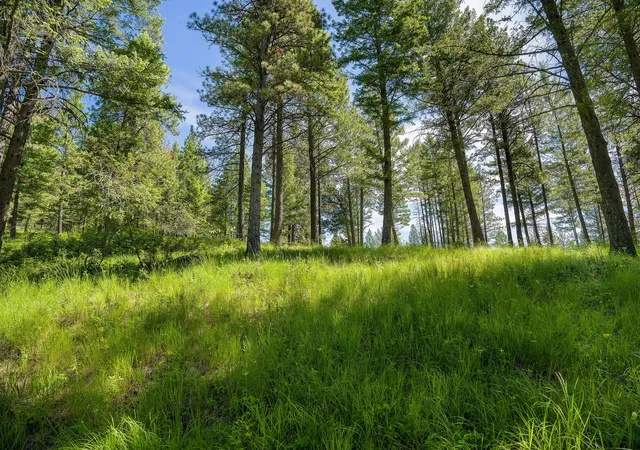 3rd image of 345 Chief Cliff Trl, Bigfork, MT 59911 | MLS# 30069969